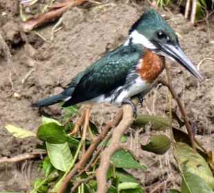 Relax Day Tour mit Federico. Eine kleine Auswahl