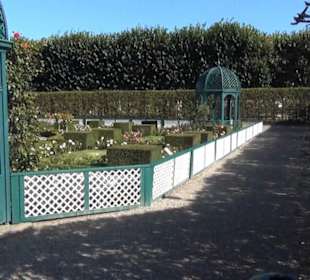 Niederländischer Rosengarten