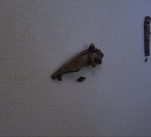 Katholische Peter- und Paulskirche