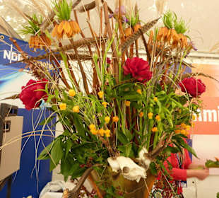 Landpartie Springer Schloss