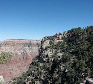 Stimmungsvoll und ohne Worte