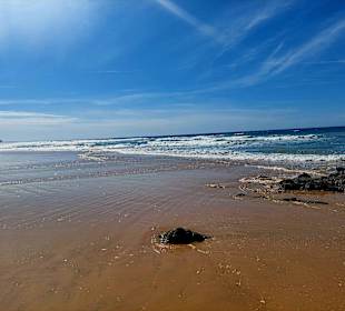 Strand Praia da Falésia