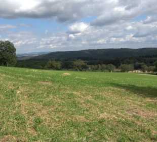 Hochgehnießen - Premiumspazierwanderweg