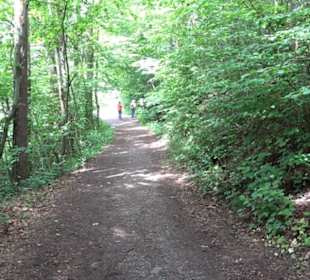 Wanderweg - Alter Steinbruch Pfaffenberg Runde
