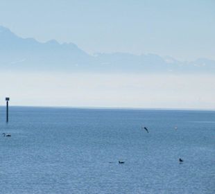 Bodensee