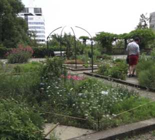 Alter botanischer Garten