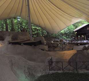 Findlinge Gletschergarten Luzern