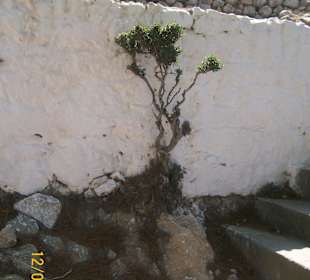 Kloster Agios Ioannis Prodromos