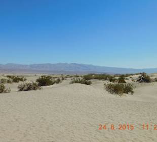 Die Dünen von Stovepipe