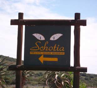 Super Safari jeden Cent wert