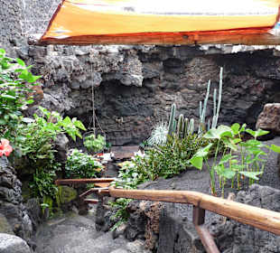  Jameos del Agua Cesar Manrique