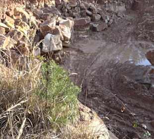 Steinbruch Bezenberg