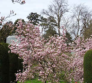 Wilhelma Stuttgart