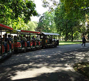 Im botanischen Garten