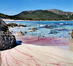 Cala Agulla/ Cala Guya