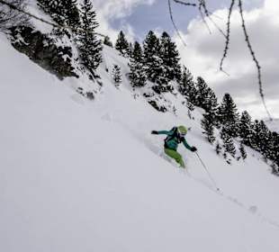 Freeride mit der CSA Skischule Grillitsch