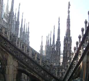 Mailänder Dom - Dach/Terrassen