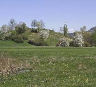 Sport- und Freizeitpark Markwasen