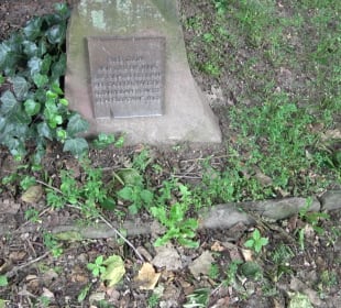 Stadtgarten Heidelberg