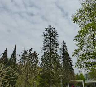 Bad Orb: bei einem Spaziergang durch den Kurpark