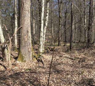 Historischer Rundwanderweg Aichtal