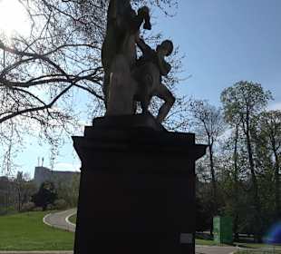 Historische Platanenallee im Unteren Schloßgarten