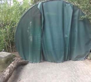 Vogelfreifluggelände