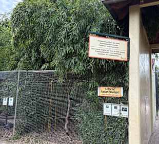 Irrland Bauernhof-Erlebnisoase