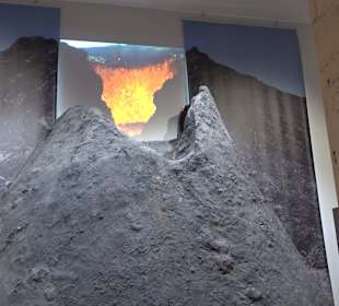 Staatliches Naturkunde Museum