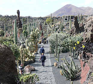 Jardin de Cactus