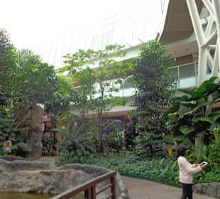 Der Park unter dem Riesenrad