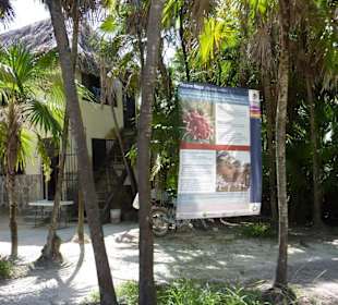 Punta Allen