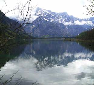 Blick über den Almsee