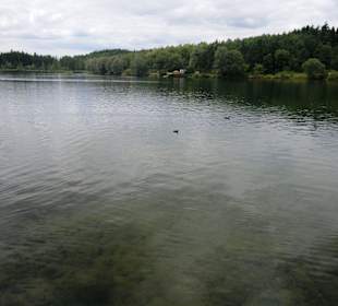 Birkensee im August