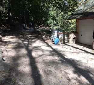 Natur-Hochseilgarten Triberg