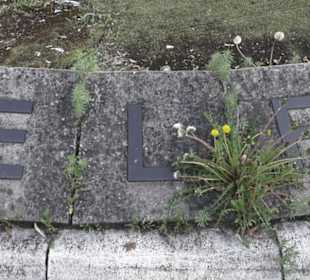 Elf Freunde - Löwenburgkreisel