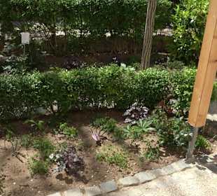 Rosengarten Nördlingen