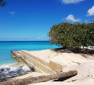 Im Bereich des National Parks