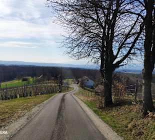 Oberrosenberg