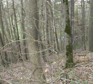 Wanderung rund um das Rusenschloss Gerhausen