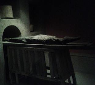 Kom Ombo - Krokodil-Museum