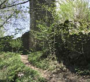 Ruine Maisenburg