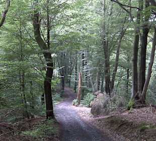 Wersbachtal