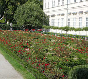 Impressionen vom Rundgang durch den Mirabellgarten
