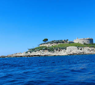 Mamula, Andrea, Velo, Anni 2011