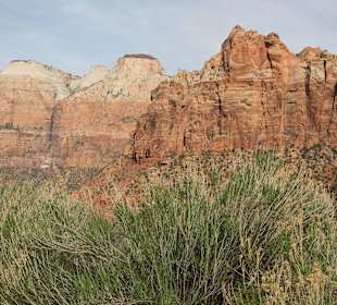 Zion Nationalpark