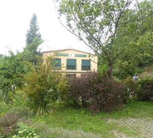 Sanddorn-Garten Petzow - Halle