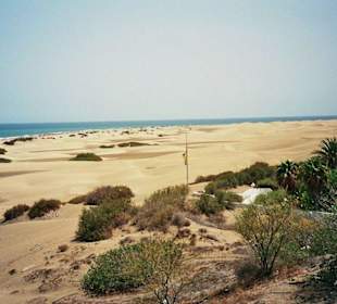 Anfang der Dünenlandschaft