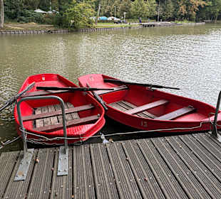 Steinerbos Belevenispark