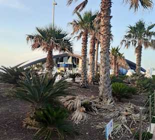 Stadtrundgang Qawra in Qawra